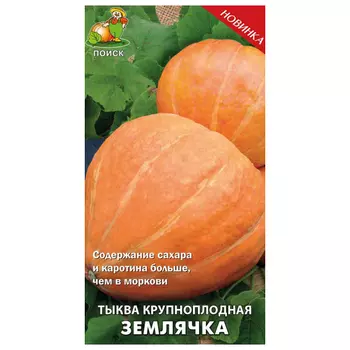 семена тыква Землячка ПОИСК 10шт крупноплодная