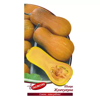 семена тыква Жемчужина АГРОНИ 2г
