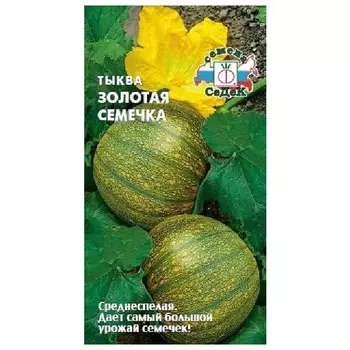 семена Тыква Золотая семечка 2г