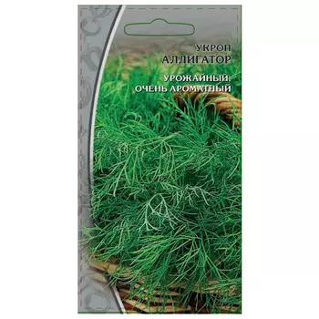 семена укроп Аллигатор 2г