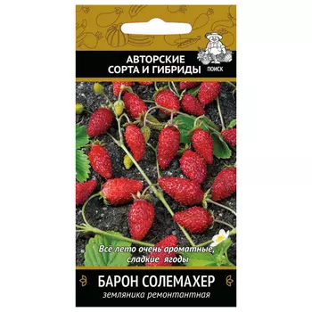 семена Земляника ремонтантная Барон солемахер ПОИСК 100шт