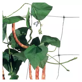 сетка садовая шпалерная Flora 150х170мм 2х10м зелёная