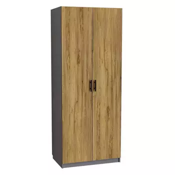 шкаф 2 двери 882х584х2220мм ЛДСП графит/дуб крафт золотой