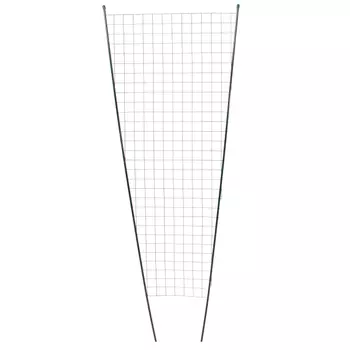 шпалера Трапеция 2м