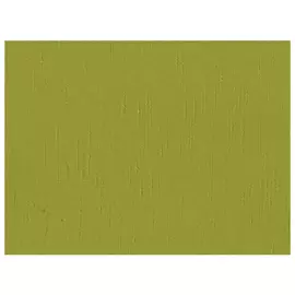 штора портьерная на шт.ленте FOR TO Casa тафта 200х265см зеленая, арт.2081/50