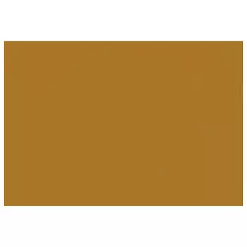 штора портьерная на шт.ленте FOR TO Cote Plage сатин 200х280см светло-коричневая, арт.2005_5424