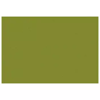 штора портьерная на шт.ленте FOR TO Cote Plage сатин 200х280см зеленая, арт.2005_5387