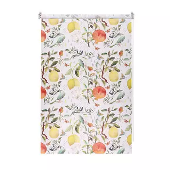 штора рулонная FG Принт светопроницаемая 50х160см фрукты, арт.9403217485