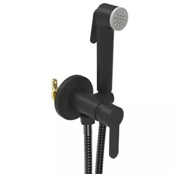 смеситель для душа скрытого монтажа AGGER Gorgeous c гиг.набором черный