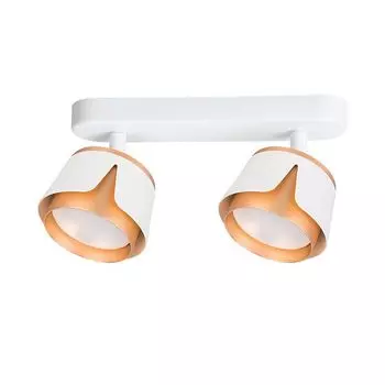 спот ARTE LAMP Amaks GX53 2х12Вт алюминий белый