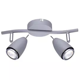 спот ARTE LAMP Regista 2x50Вт GU10 металл серый