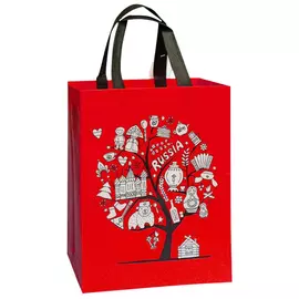 сумка-пакет 28х35,5х9см полипропилен в асс-те