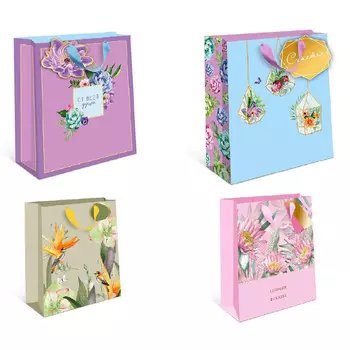 сумки бумажные премиум ОТ BC 180х223х100мм