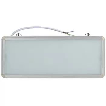 светильник аварийный без текста ЭРА SSA-101-0-20 LED x 3 Вт, IP 20
