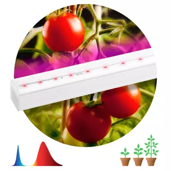 светильник ЭРА ФИТО для растений 14Вт LED IP20 сине-красный спектр белый