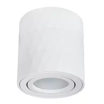 светильник накладной ARTE LAMP Fang GU10 35Вт IP20 металл белый