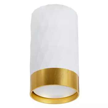 светильник накладной ARTE LAMP Fang GU10 35Вт IP20 металл белый золотой