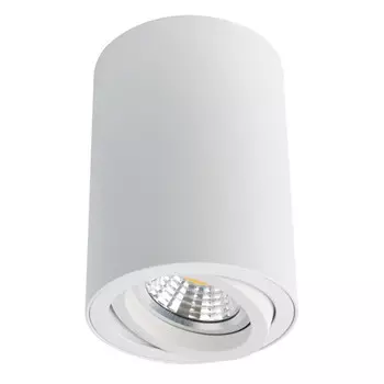 светильник накладной ARTE LAMP Sentry 1x50Вт GU10 алюминий белый