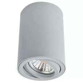 светильник накладной ARTE LAMP Sentry 1x50Вт GU10 алюминий серый
