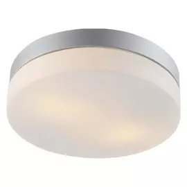 светильник настенно-потолочный для ванной Aqua 2х60Вт E27 230В металл крашеный серебро