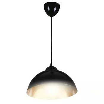 светильник подвесной Apeyron 1 х Е27 х 40 Вт, черный с золотом