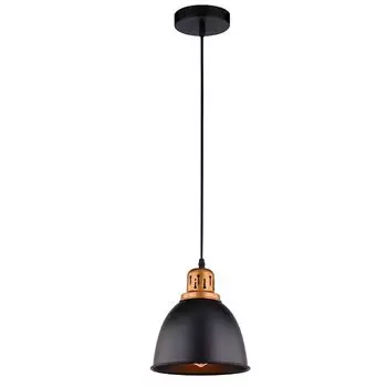 светильник подвесной ARTE LAMP Eurica E27 1х60Вт D20,5см металл черный