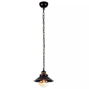 светильник подвесной ARTE LAMP Grazioso 1x60Вт Е27 металл стекло коричневый