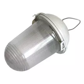 светильник подвесной ЭРА Желудь сталь-стекло 100Вт IP54 E27 max б/решетки белый