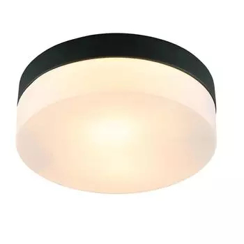 светильник потолочный ARTE LAMP Aqua-tablet E27 2х60Вт металл чёрный