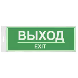 табличка Выход 300х100мм