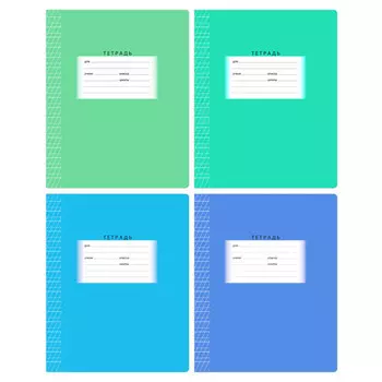 тетрадь 12л BG Школьная эконом А5 частая косая линия