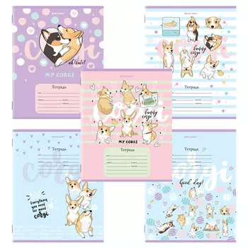 тетрадь 12л BRAUBERG Корги А5 клетка в асс-те