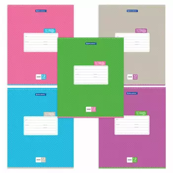 тетрадь 12л BRAUBERG Точки А5 линия в асс-те