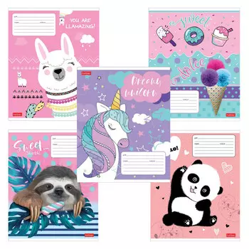 тетрадь 12л HATBER Улыбнись! А5 клетка в ассортименте