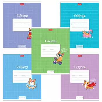 тетрадь 12л клетка А5 HATBER Забавный корги в асс-те