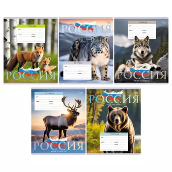 тетрадь 18л BG Патриотизм Родина клетка