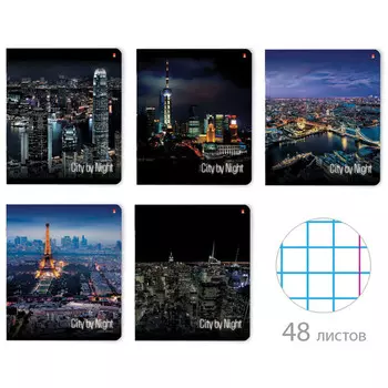 тетрадь 48л АЛЬТ Ночные города А5 48л клетка в асс-те