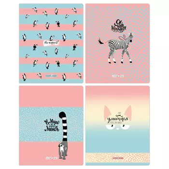 тетрадь 48л BG Circles&strips А5 клетка