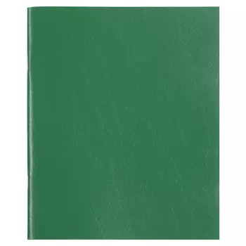 тетрадь 48л STAFF Зеленый А5 клетка