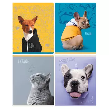 тетрадь 96л BG Гав-мяу А5 линия