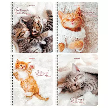 тетрадь 96л BRAUBERG Котики А5 клетка в ассортименте