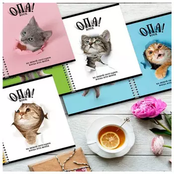 тетрадь 96л ПЗБМ Перевёртыш Опа А5 клетка/линия в асс-те