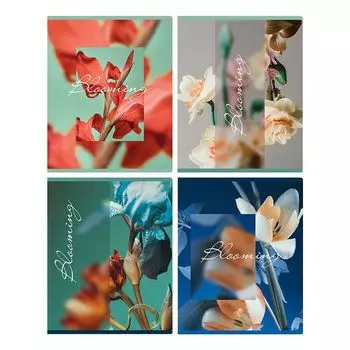 тетрадь BG Blooming 48л А5 65 г/кв.м клетка матовая ламинация