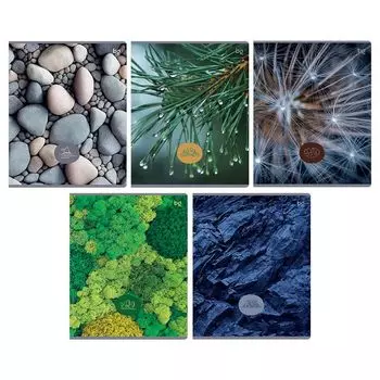 тетрадь BG Детали Природы 48л А5 60 г/кв.м клетка