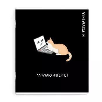 тетрадь Информатика 48 л А5+ 60 г/кв.м клетка мягкий переплёт скоба