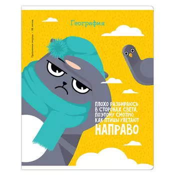 тетрадь предметная 48л клетка А5 ArtSpace Котоцинизм География ТВИН-лак