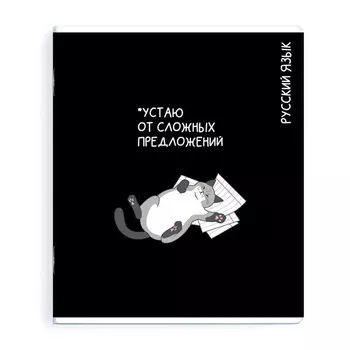 тетрадь Русский язык 48 л А5+ 60 г/кв.м линейка мягкий переплёт скоба