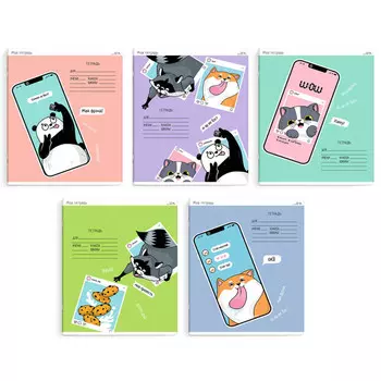 тетрадь Селфи 18л линия