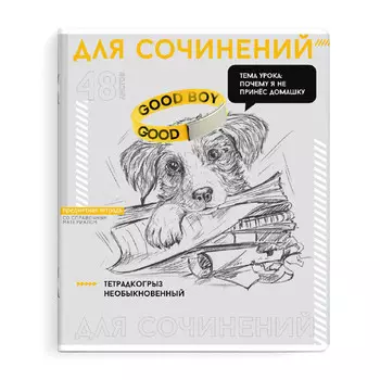 тетрадь Яркие детали для Сочинений 48 л А5+ 60 г/кв.м клетка мягкий переплёт скоба