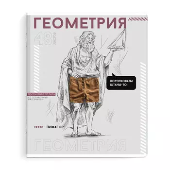 тетрадь Яркие детали Геометрия 48 л А5+ 60 г/кв.м клетка мягкий переплёт скоба